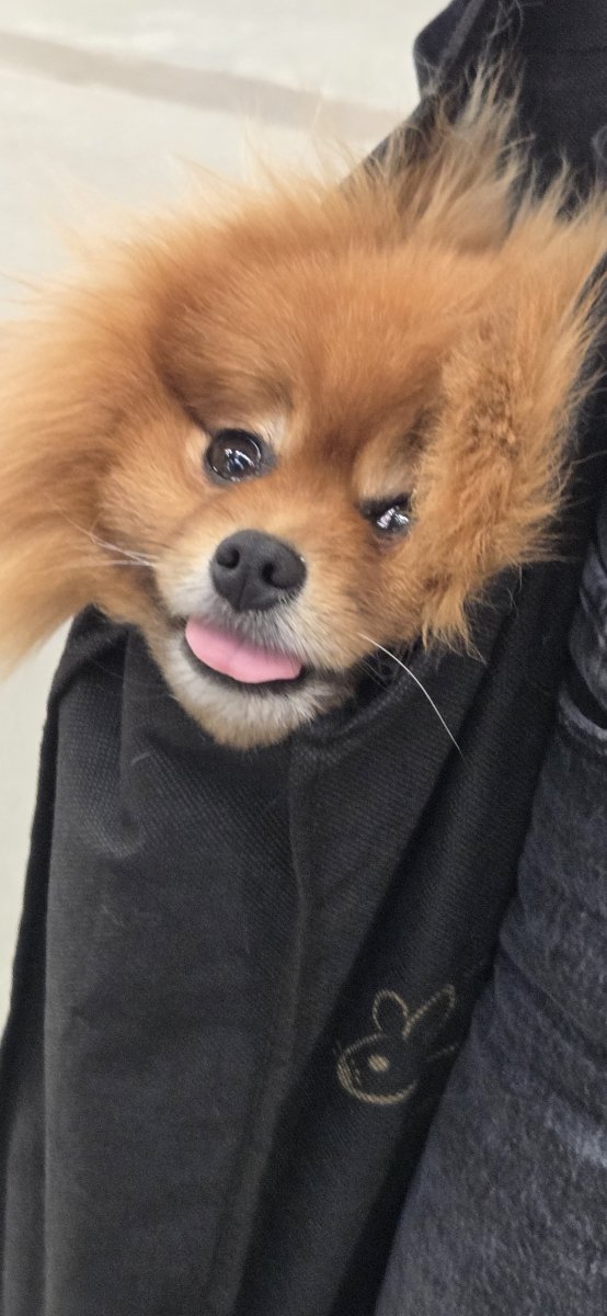 Winnie