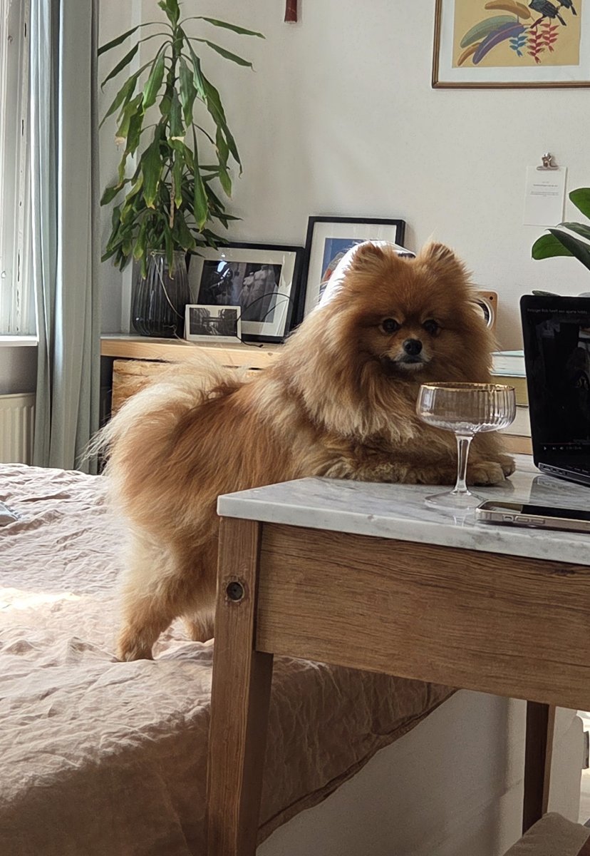 Winnie at home