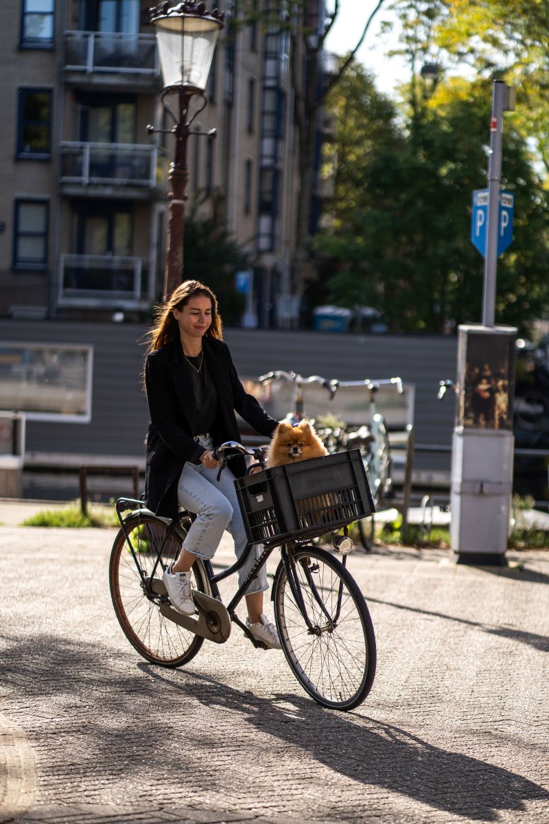 Winnie in de fietsmand tijdens een city tour